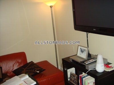 Allston Apartment for rent 1 Bedroom 1 Bath Boston - $2,450