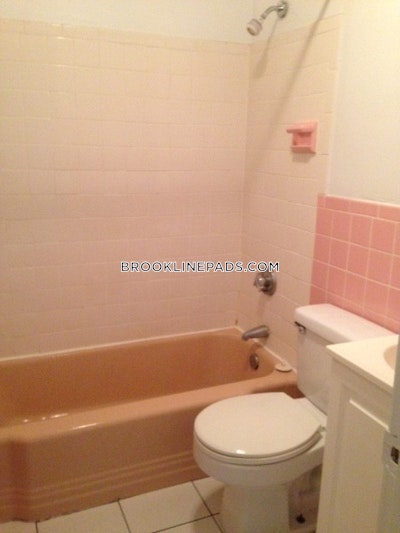 Brookline Apartment for rent 1 Bedroom 1 Bath  Washington Square - $2,695 No Fee