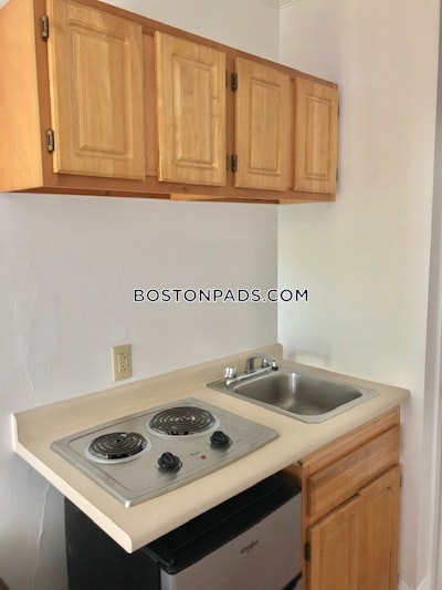 Brookline Studio 1 Bath  Boston University - $1,995 No Fee