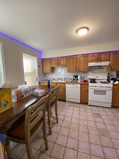 Allston 6 Beds 2 Baths Boston - $9,000