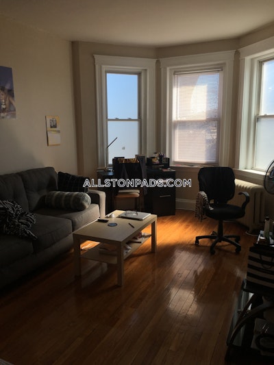 Allston Apartment for rent 1 Bedroom 1 Bath Boston - $2,700