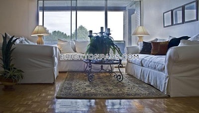 Brighton Apartment for rent 1 Bedroom 1 Bath Boston - $2,600 No Fee