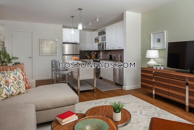Downtown Apartment for rent 1 Bedroom 1 Bath Boston - $3,316