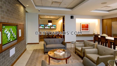 Downtown Apartment for rent 1 Bedroom 1 Bath Boston - $4,237