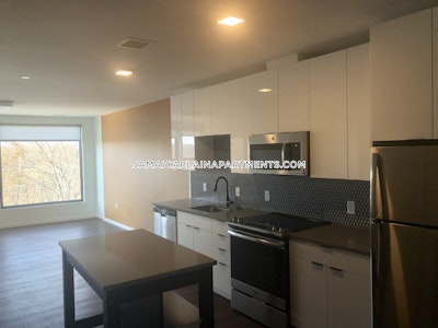 Jamaica Plain Apartment for rent 2 Bedrooms 2 Baths Boston - $4,175 No Fee