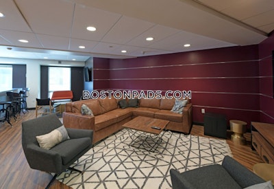 Fenway/kenmore Apartment for rent 1 Bedroom 1 Bath Boston - $3,906