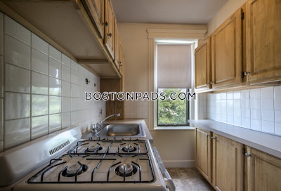 Allston Apartment for rent Studio 1 Bath Boston - $1,975 No Fee