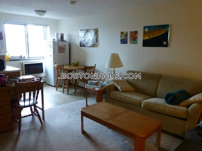 Cambridge Apartment for rent Studio 1 Bath  Davis Square - $2,300