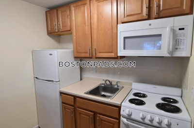 Cambridge Apartment for rent Studio 1 Bath  Mt. Auburn/brattle/ Fresh Pond - $1,900