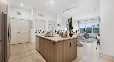 Wellesley Apartment for rent 2 Bedrooms 2 Baths - $5,601