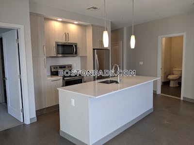 Jamaica Plain Apartment for rent 2 Bedrooms 2 Baths Boston - $3,650
