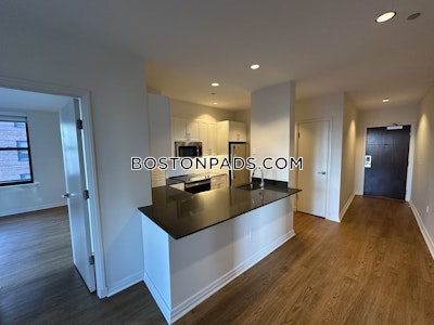 Downtown Apartment for rent 2 Bedrooms 2 Baths Boston - $4,642