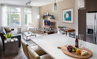 Waltham 2 bedroom 2 baths Luxury in WALTHAM - $3,527